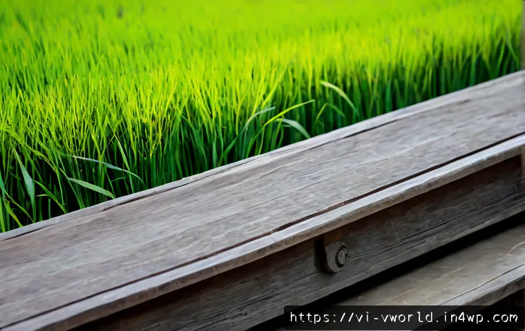 Thời trang số thay đổi xã hội thế nào: lợi ích, rủi ro và tiêu chí đầu tư cho thương hiệu 4 디지털 패션의 사회적 영향 관련 이미지 2